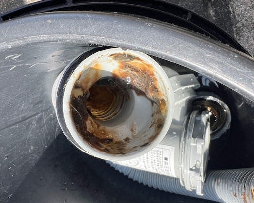 台所の蛇腹ホース内部にバイオフィルムが広がり、排水が遅れて悪臭が発生していた様子。築年数が経過した住宅でよく見られる汚れの典型例。