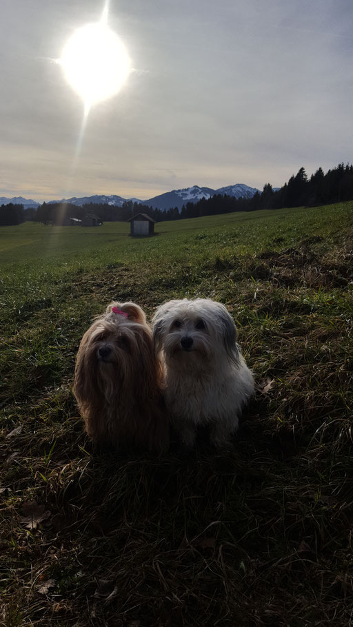 Tami und Bella beim Silvestergassi.