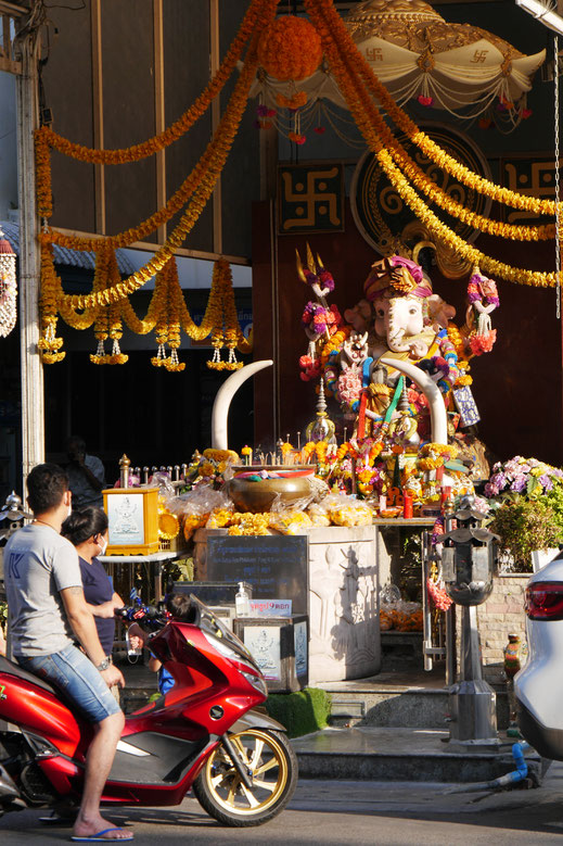 Wohin immer man schaut: Land- und Viehwirtschaft bestimmen das Leben der Menschen hier... Region Preah Vihear, Kambodscha (Foto Jörg Schwarz)