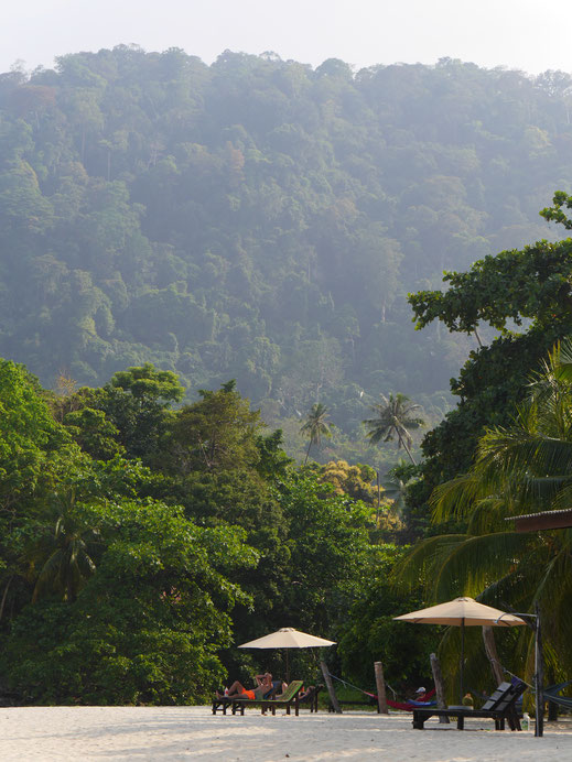 So werden wir willkommen geheißen... Ein Tropenparadies! Tioman Island, Malaysia (Foto Jörg Schwarz)