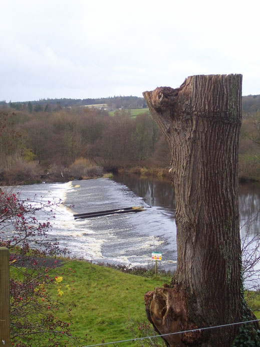 De rivier bij Chesters Bridge.