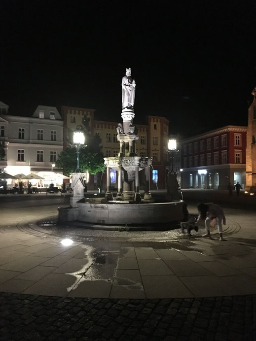 Zierbrunnen von Herzog Georg II.  mit Kaiser Heinrich II.