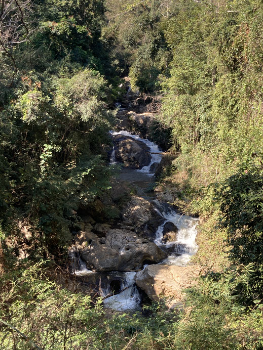 Wohin immer man schaut: Land- und Viehwirtschaft bestimmen das Leben der Menschen hier... Region Preah Vihear, Kambodscha (Foto Jörg Schwarz)