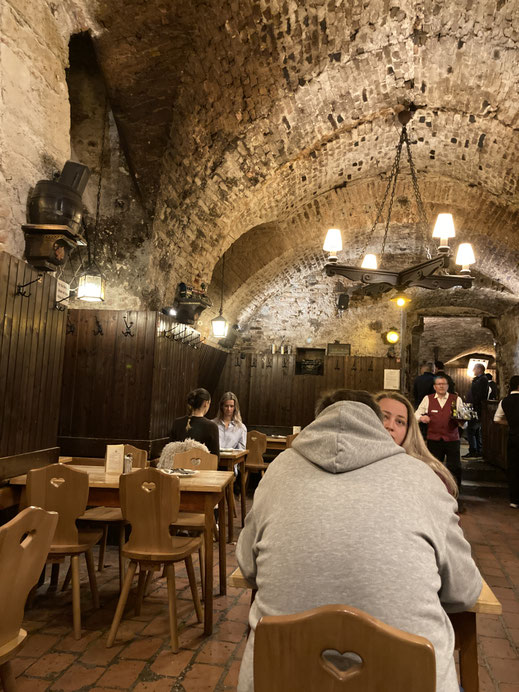 Österreich Wien Donau Fotographie Reiseblog Reisereportage Spurenwechsler Reise Urlaub Städtetrip Geheimtipp slow travel Backpacker