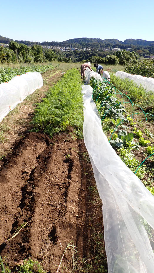 自然農を学ぶ農業体験農場　親子で野菜作り教室