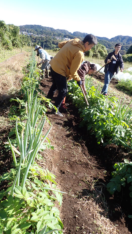 無農薬栽培の野菜づくり教室・さとやま農学校