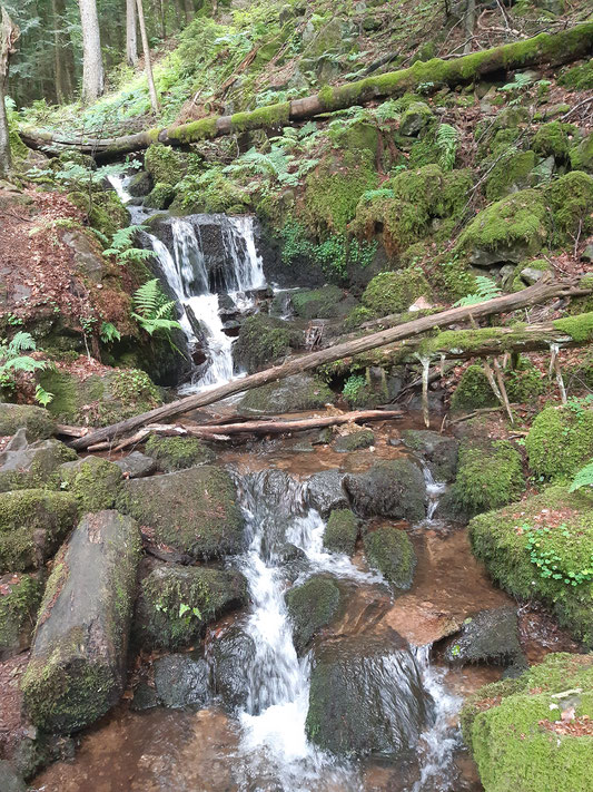 Hirschbachfälle
