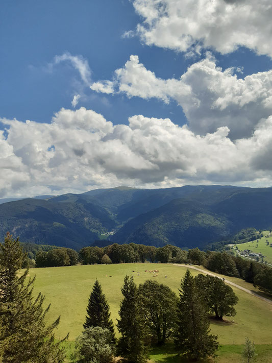 Blick auf den Feldberg