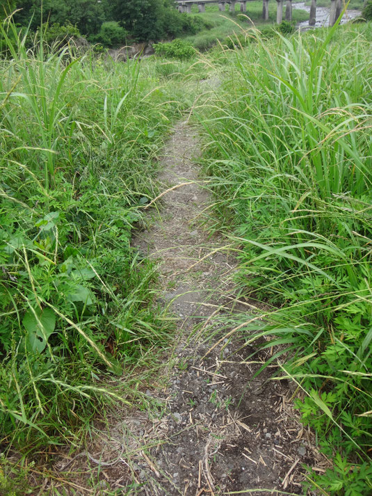 Old Nakasendo route is sometimes not paved all rights reserved by onegai kaeru