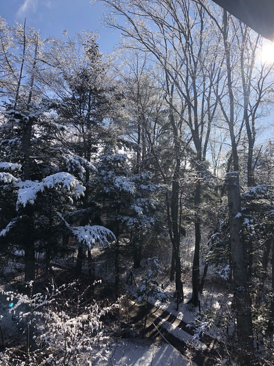 この冬はほとんどなかった「起きたら雪景色、しかも晴れ」のシチュエーション。