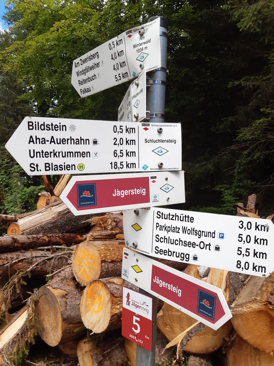 Wanderwege im Schwarzwald sind sehr gut ausgeschildert