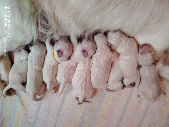 6 MAGNIFIQUES GARCONS ET 3 FILLES