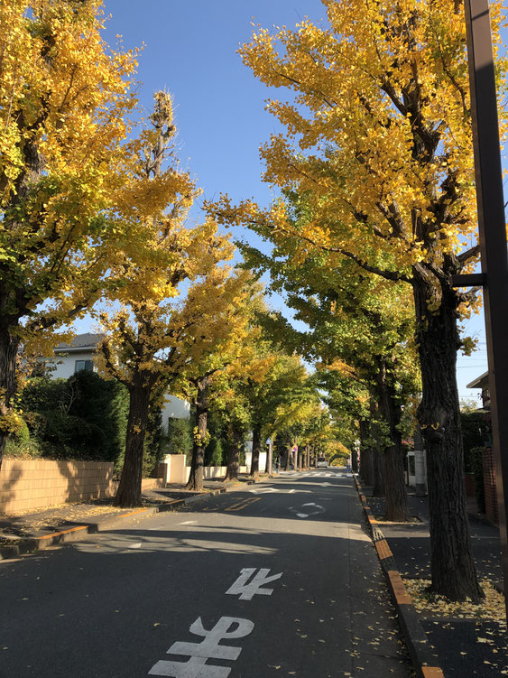 田園調布｜長屋｜賃貸｜アパート｜メゾネット｜木造｜大田区