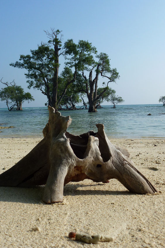 Jörg Pietschmann, functional sculpture, woodworker, wood sculpture, works of nature, work with nature, arts and craft, decorative wood, interiordesign, wood design, wood art, interiorarchitecture, sculptural design, modern design, collectible design