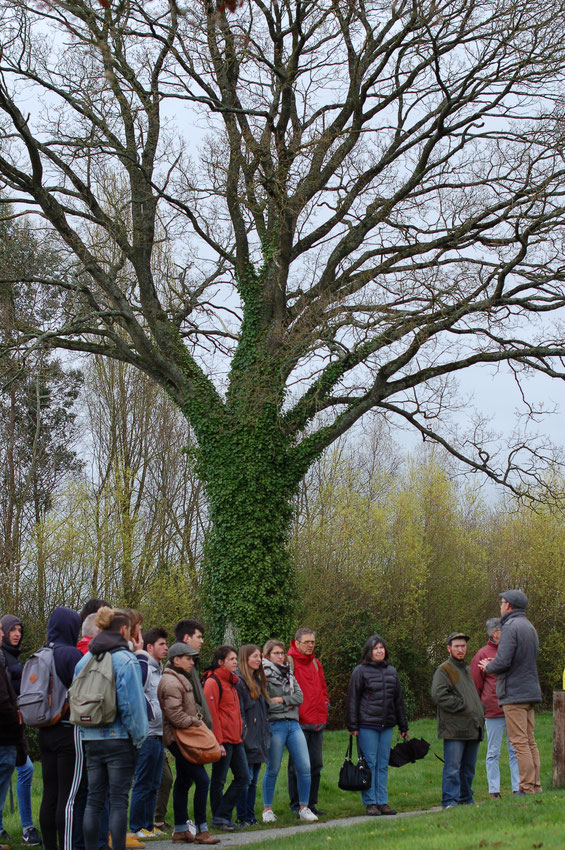 Visite des espaces verts de la commune avec Antoine Bailleul, en charge de l'animation de l'Atlas de Biodiversité Communale sur Saint-Aubin du Cormier