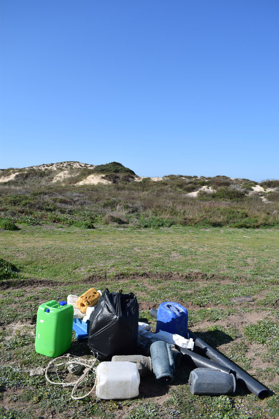 Beach clean Portugal - plastic pollution