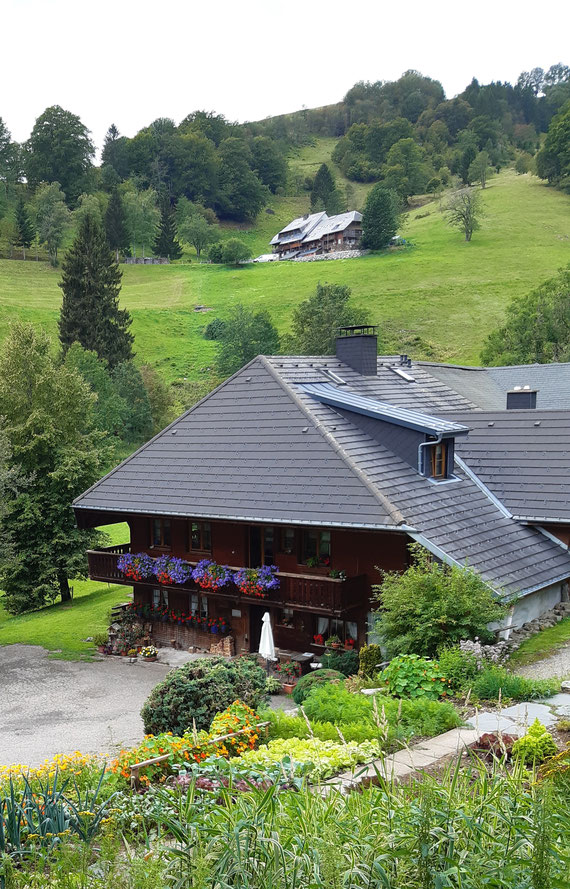 Schwarzwaldhöfe in Hofsgrund