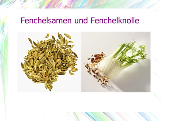 Fenchelsamen und Fenchelknolle