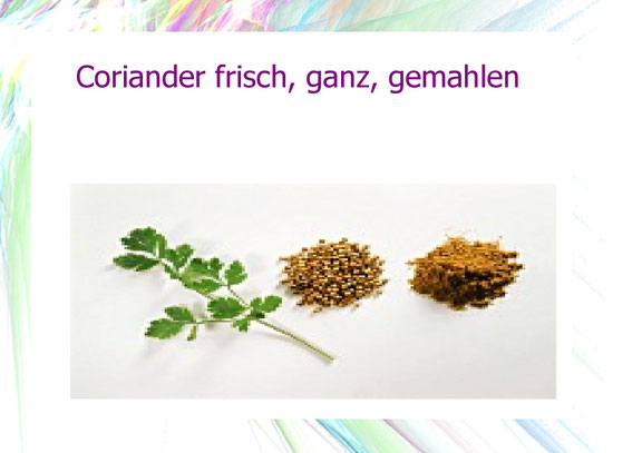 Coriander frisch, ganz, gemahlen