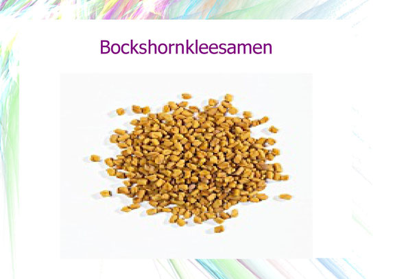 Bockshornkleesamen