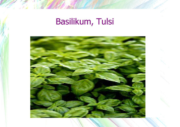 Lebensmittel Basilikum, Tulsi