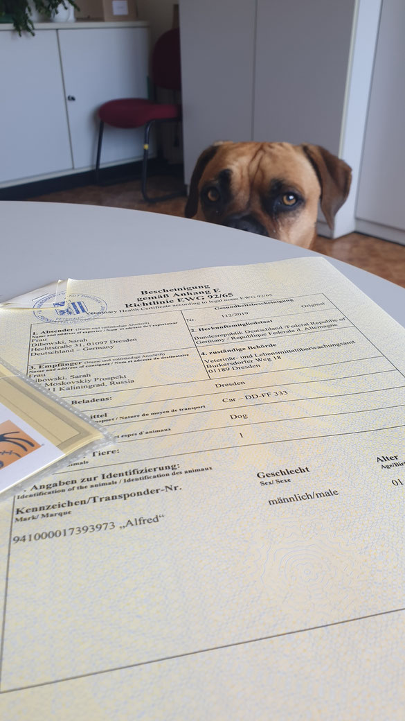 Alfreds erstes Zeugnis...