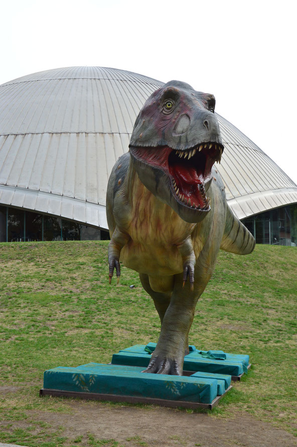 Wir kommen auf unserem Weg am Planetarium vorbei, auch dort steht ein Dino.