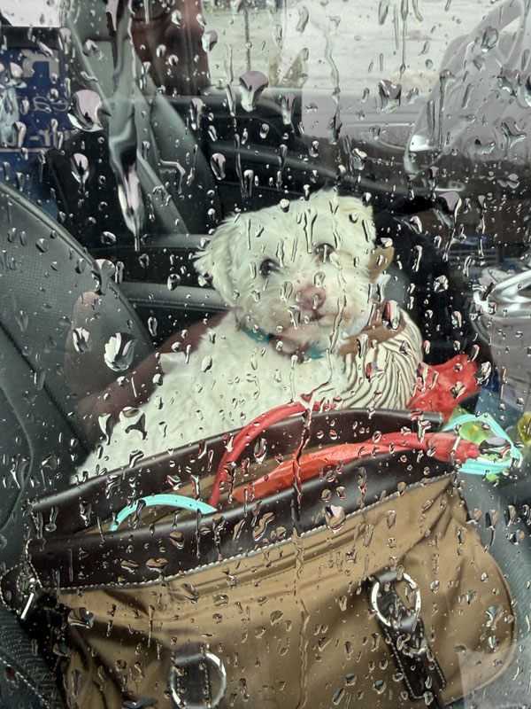 Mo: das Wetter war doof! Das nächste Mal bitte ohne Regen.