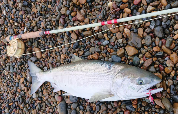 TS-design Rod - fly-taka55 ページ! TS-design Rod - fly-taka55 ページ!