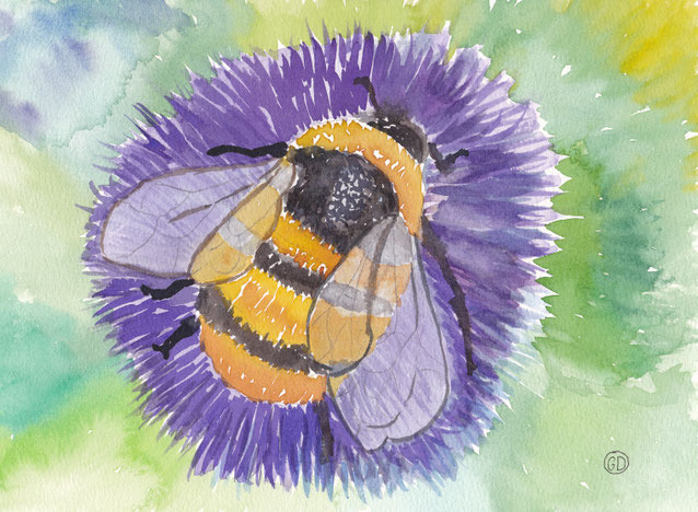 Hummel, 19x27 cm, 150€