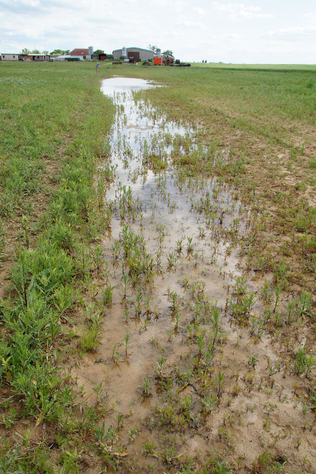 Einige Tage nach der Inbetriebnahme der Wasserpumpe