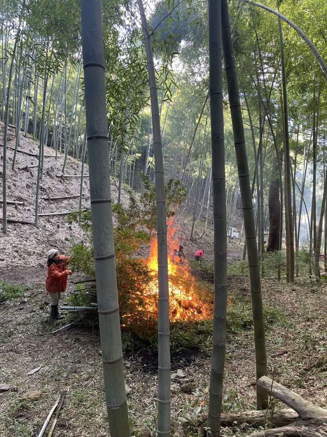 タケノコ掘り準備作業
