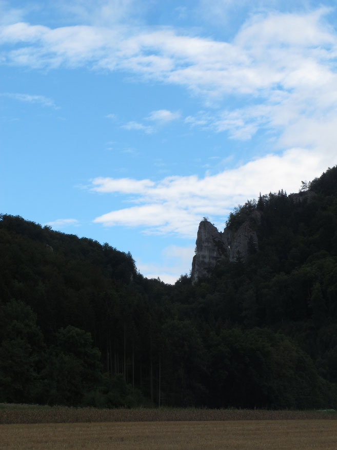 allemagne danube champs forêt