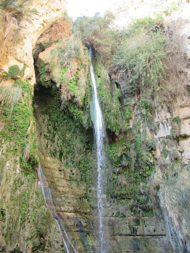 Der David-Wasserfall
