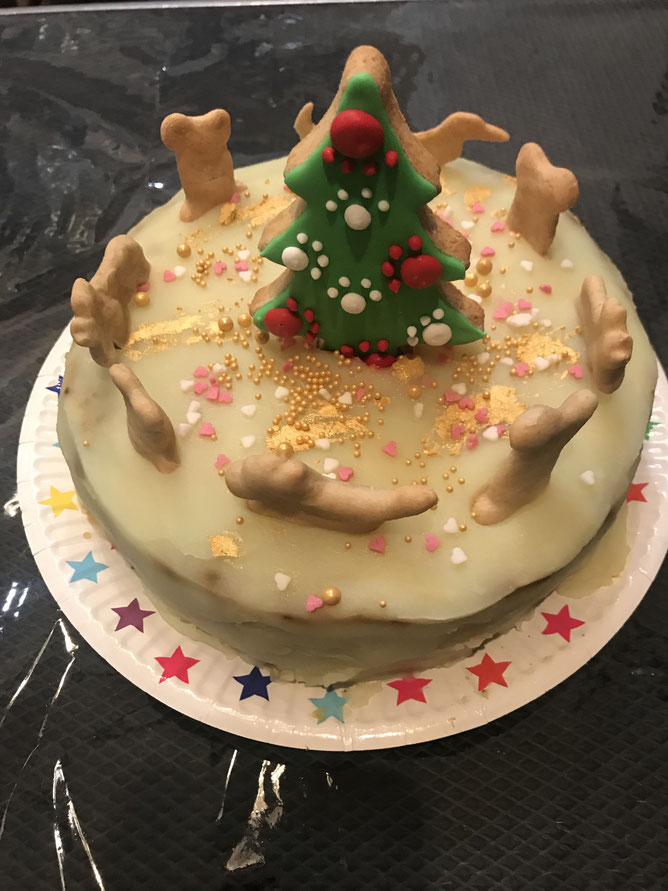 CHRISTMAS  PUDDING  CAKE