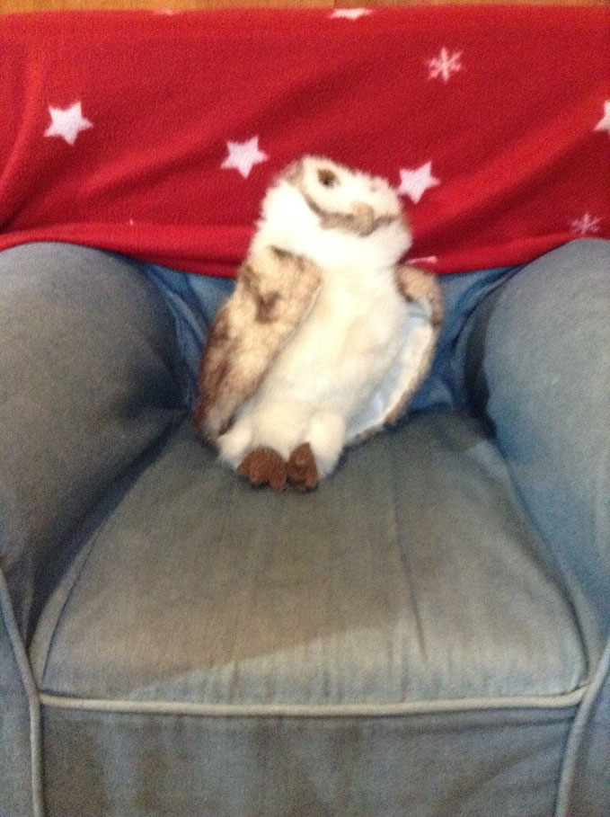 Barnaby (Barn Owl) 13.5"