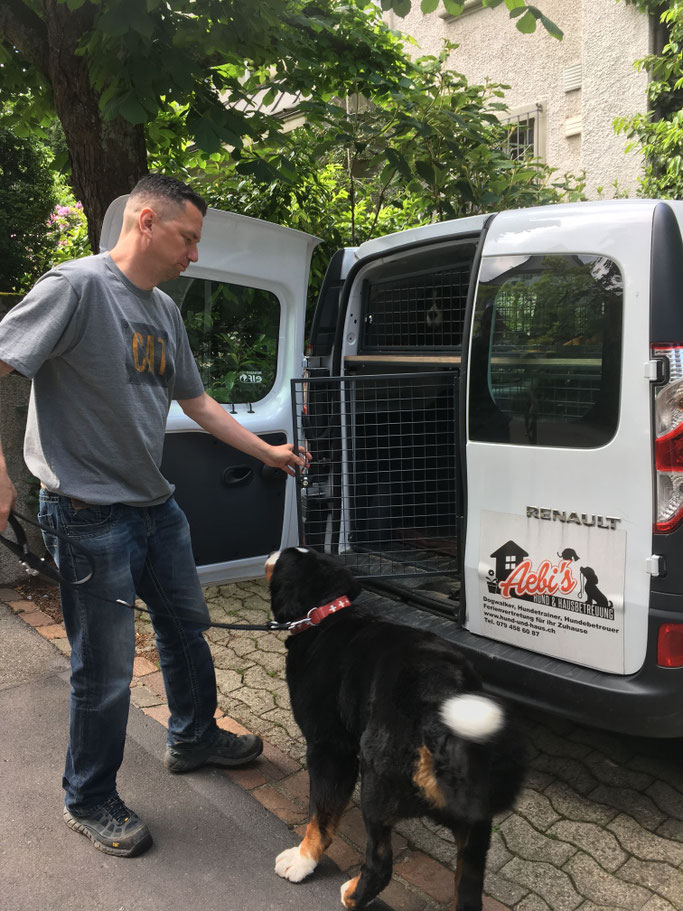Ruhiger und sicherer Hundetransport mit individuellen Transportboxen bei Aebi’s Hund & Hausbetreuung Zürich