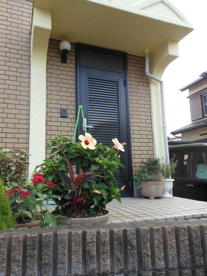 Hostel in Yokohama 2500 yen Japan - reinhardhouse