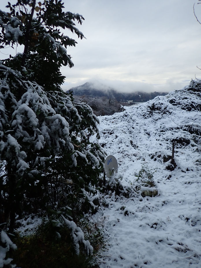 相模湖の初雪２０１９年