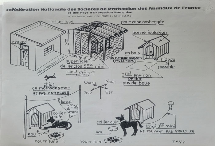 Illustration de la loi et des règles contre la maltraitance animale 