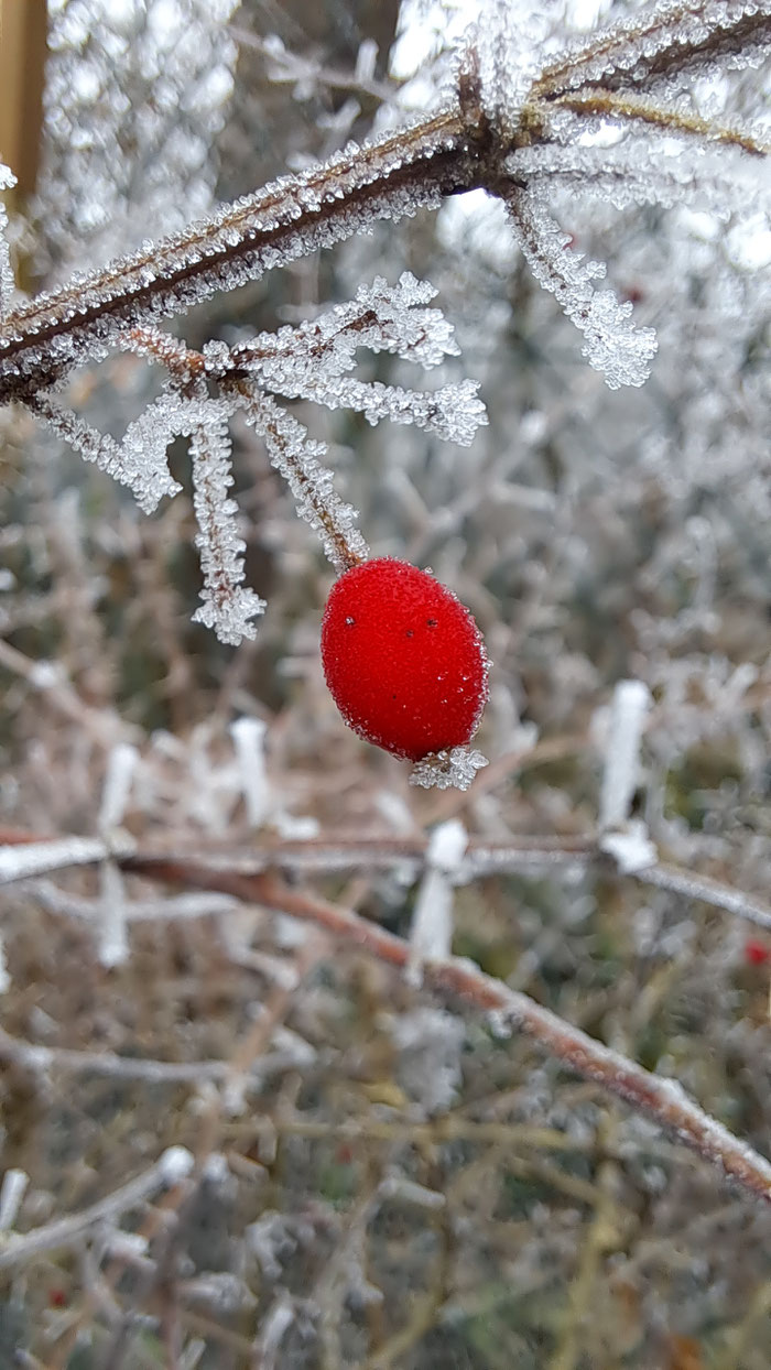 Auch mal kalt ...