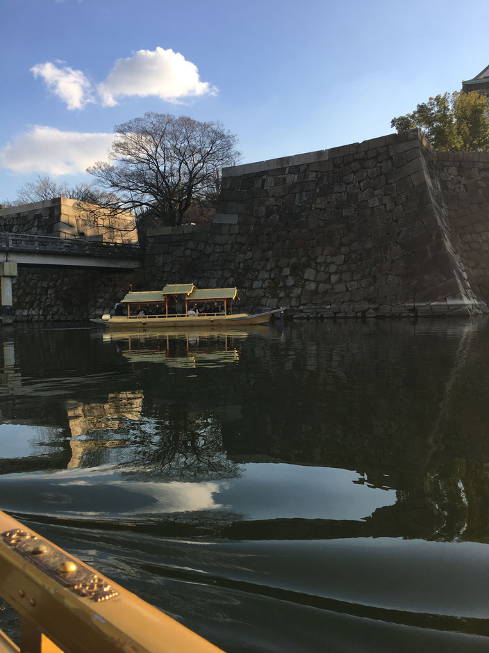 亀、鵜、鴨、鯉などの住む、大阪城内堀です