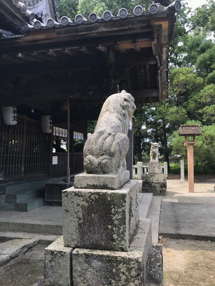 拝殿向かって右に角なし阿像の獅子　左に一角吽像の狛犬　