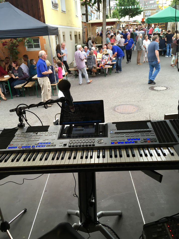 Musikunterhaltung für öffentliche Feste, Hoffest, Hocketse