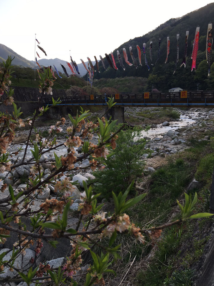 花桃まつり本部付近