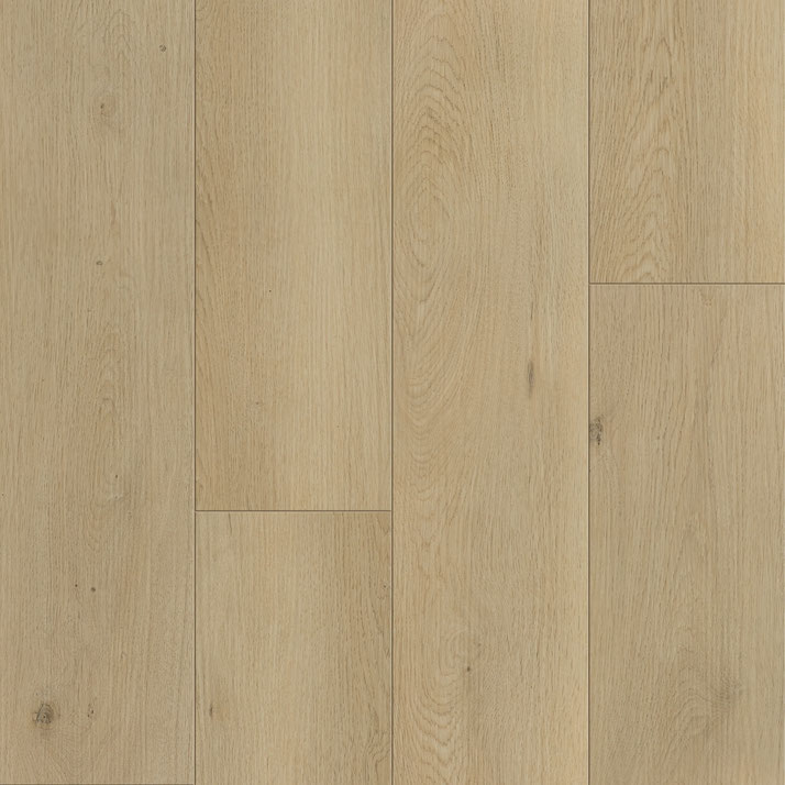 Boothbay Beige - 130