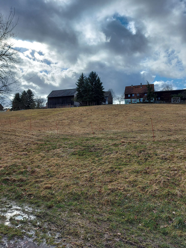 Angekommen in Berreuth