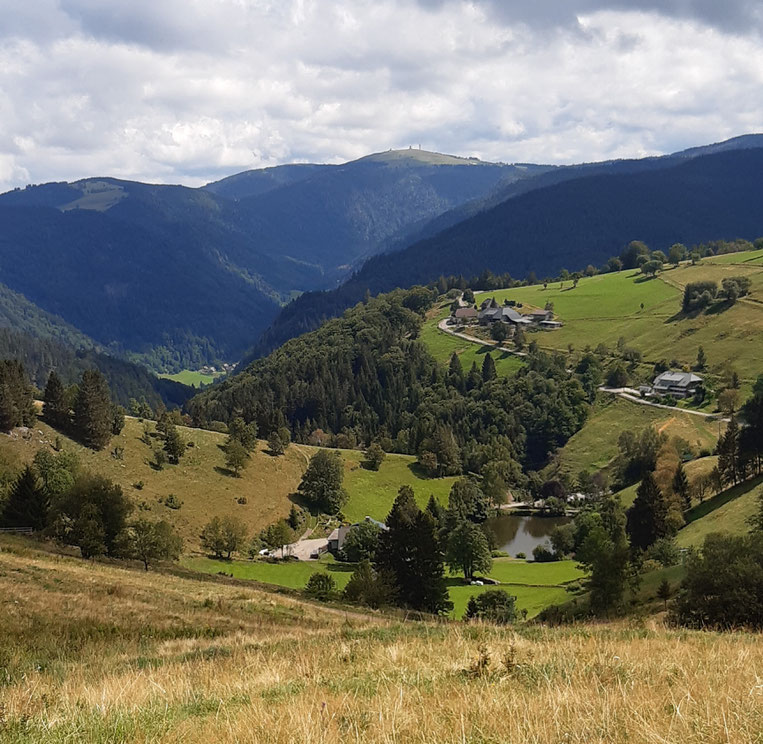 Blick auf Feldberg und Dobelsee