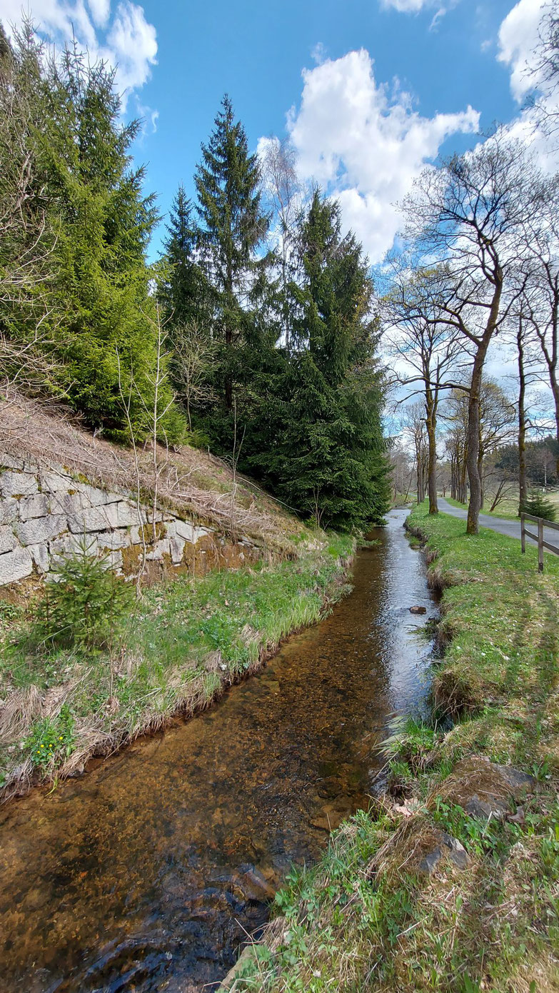 An der deutsch-tschechischen Grenze ist die Freiberger Mulde nach 10 km von der Quelle bis hierher schon ein stattlicher Bach.