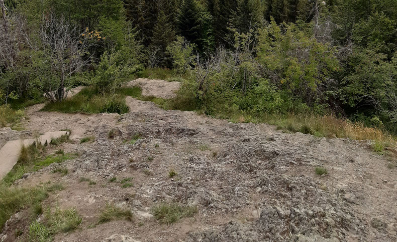 Schiefer im Schwarzwald